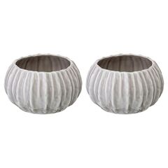 Набор из 2 салатников Actinia серого цвета из коллекции Sea treasures, Tkano