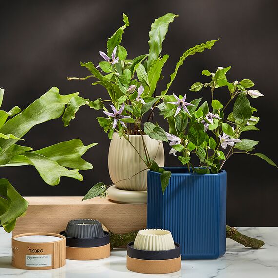 Свеча ароматическая Green tea & Pear blossom из коллекции Edge, серый, 30 ч, Tkano, изображение 4